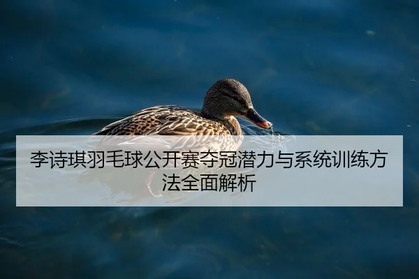 李诗琪羽毛球公开赛夺冠潜力与系统训练方法全面解析
